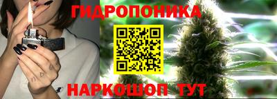 a pvp Гусиноозёрск