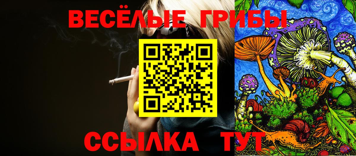 Псилоцибиновые грибы Psilocybe  Псилоцибиновые грибы Magic Shrooms  Кемерово  Вход с VPN 