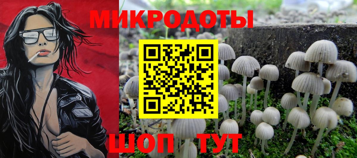 Псилоцибиновые грибы Cubensis Кемерово